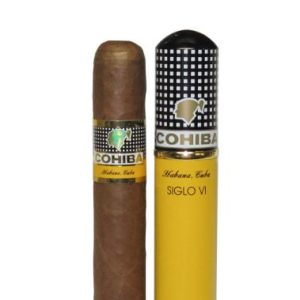 import placeholder for 310