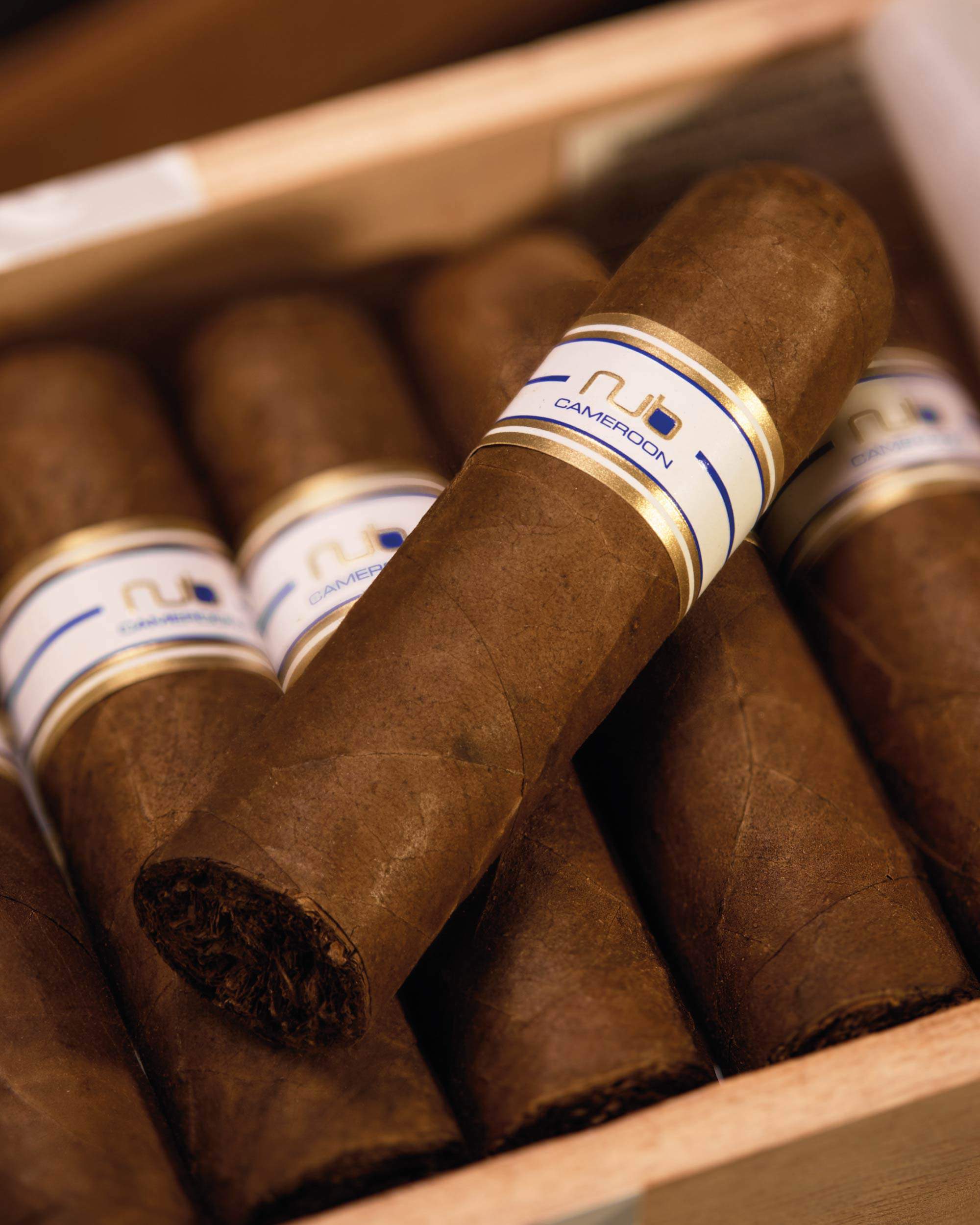 Oliva Nub 358 Cameroon - Image 2