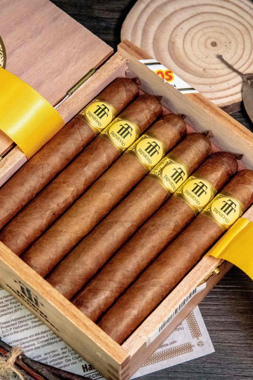 Trinidad Reyes