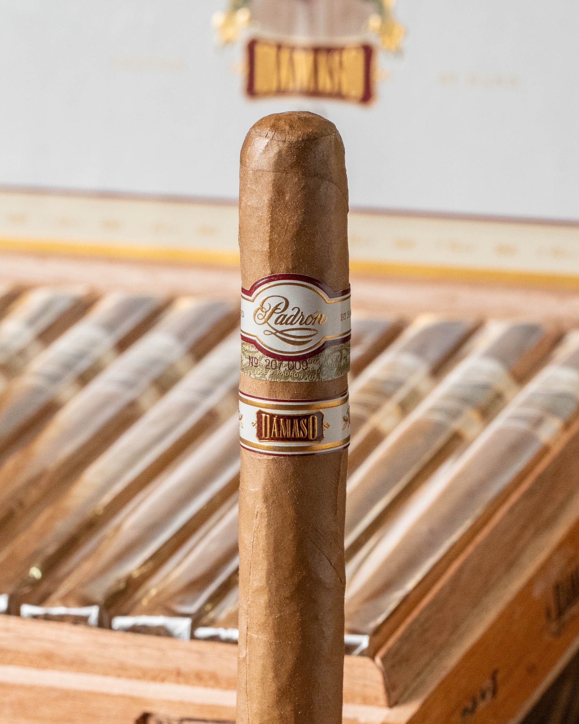 Padrón Dámaso No. 17 - Churchill - Image 2