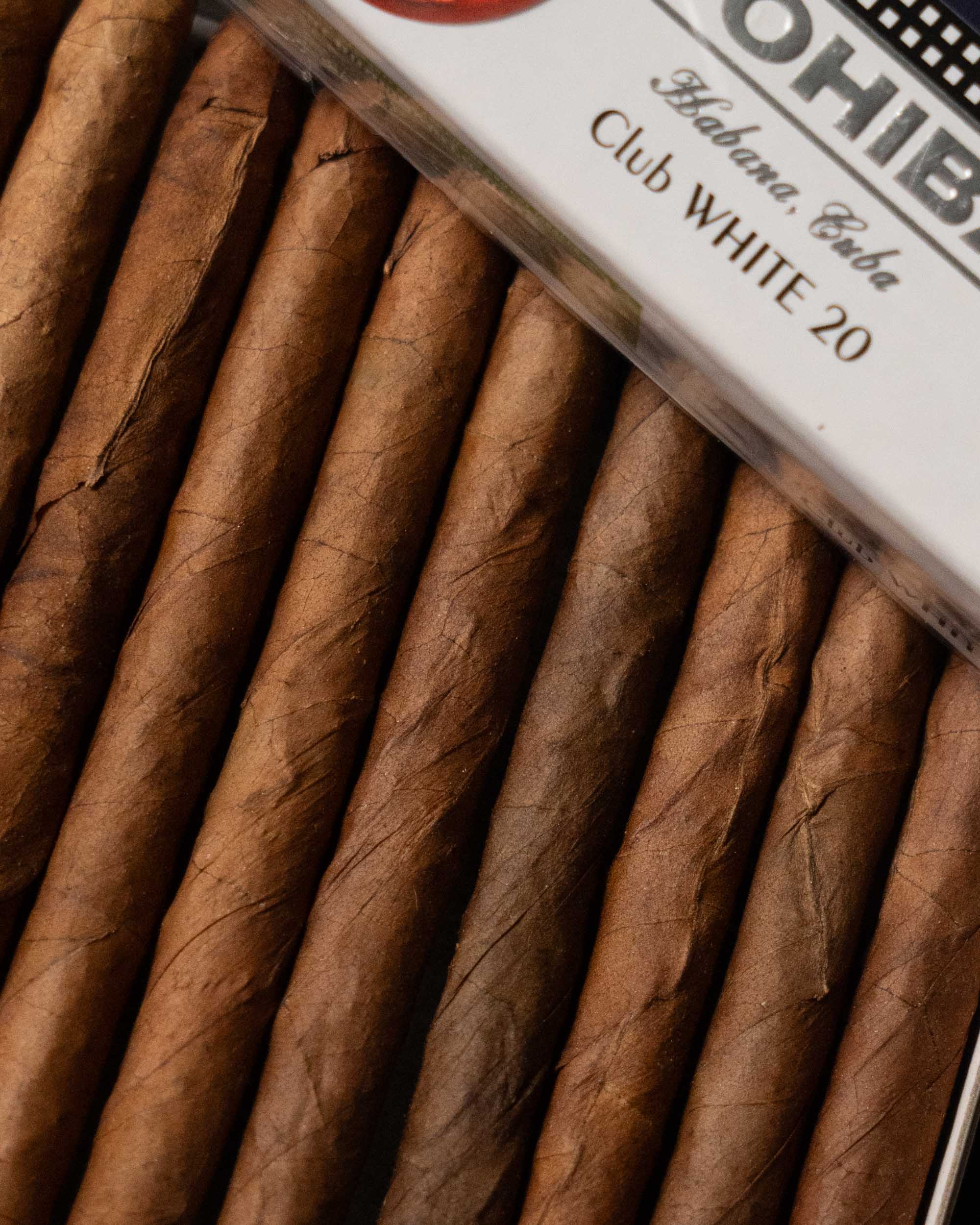 Cohiba Club White (PCC) - Image 3