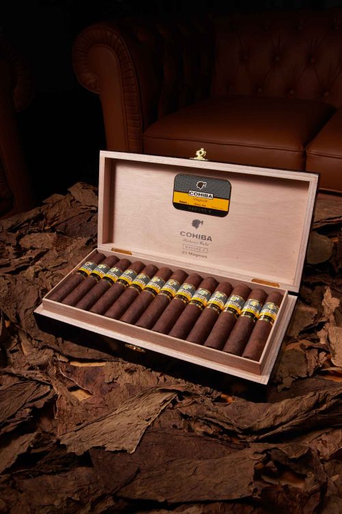 Cohiba Magicos Maduro 5 (PCC)