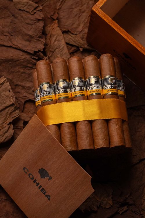 Cohiba Robustos (2020 Vintage)