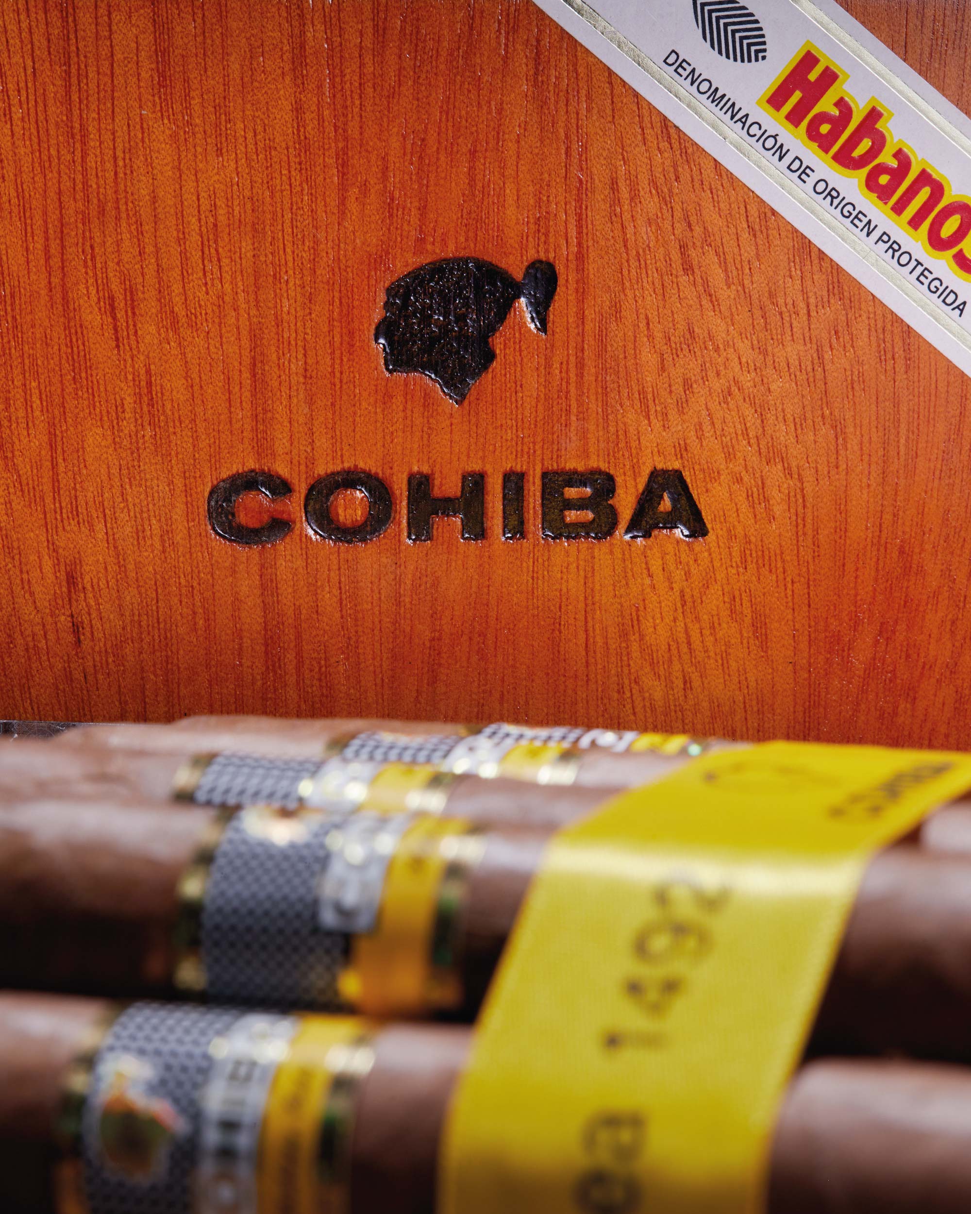 Cohiba Siglo VI (2020 Vintage) - Image 6
