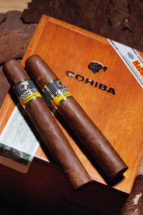 Cohiba Siglo VI (2020 Vintage)