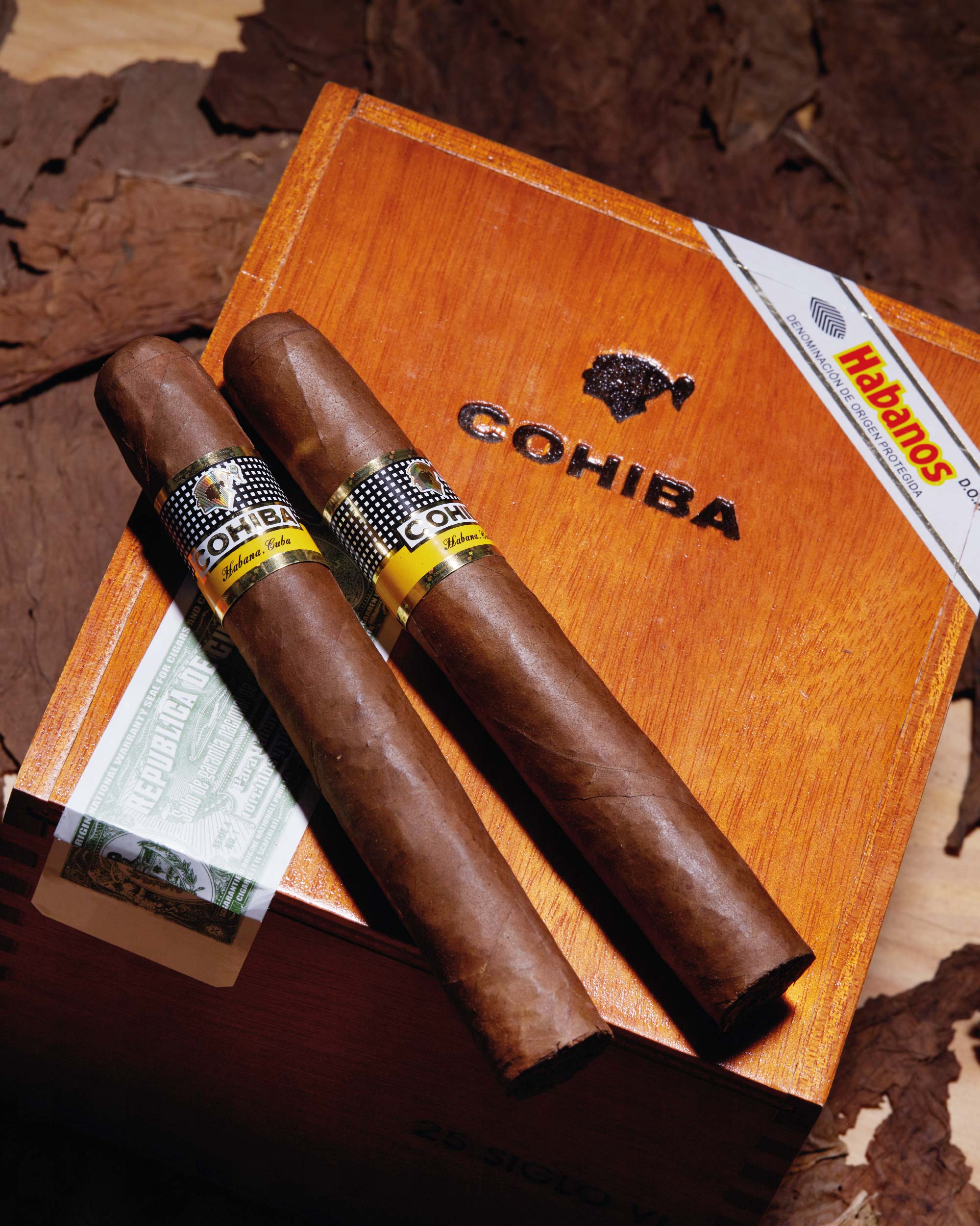 Cohiba Siglo VI (2020 Vintage)