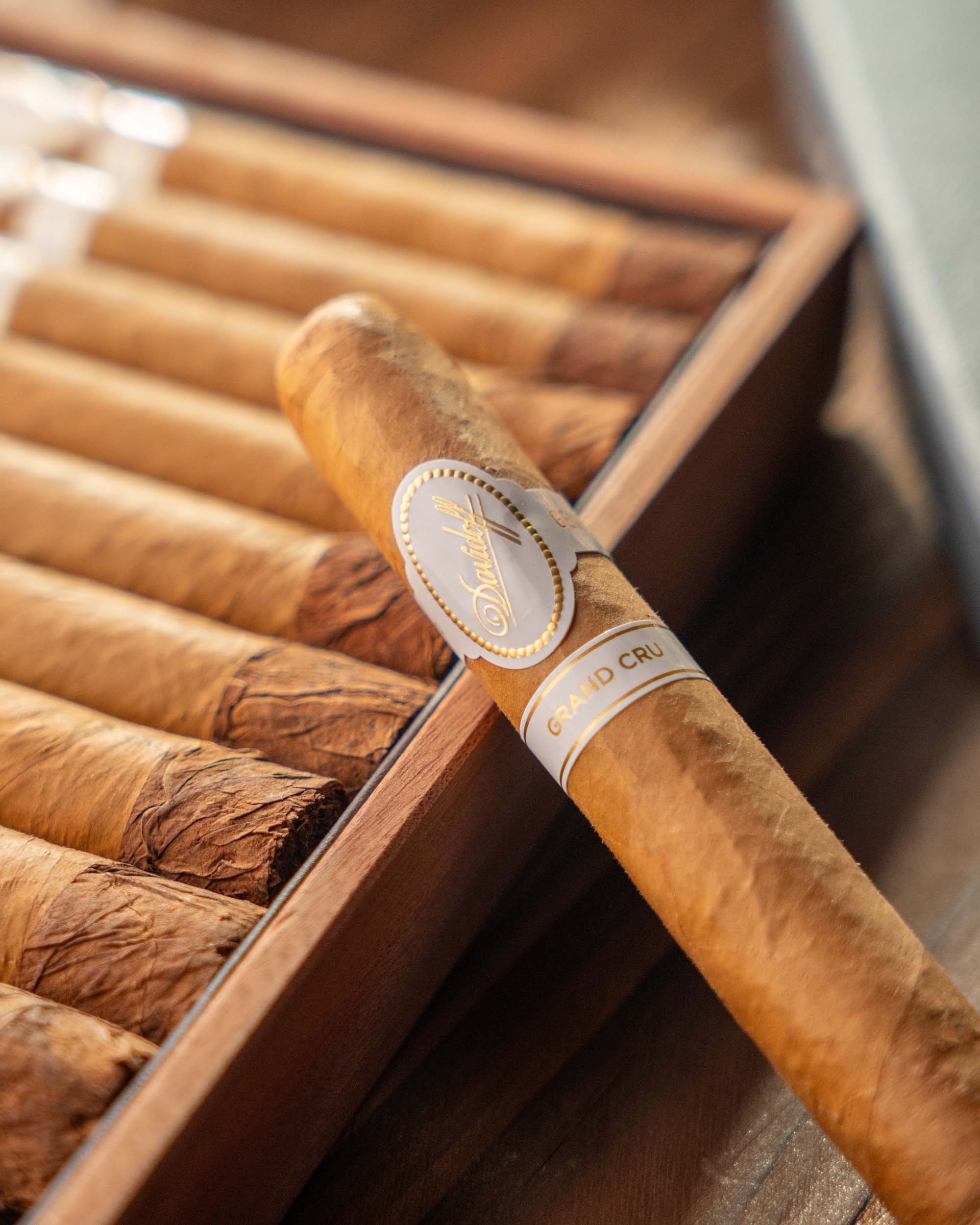 Davidoff Grand Cru Robusto Cigar Bundle (Uncut) - Image 2