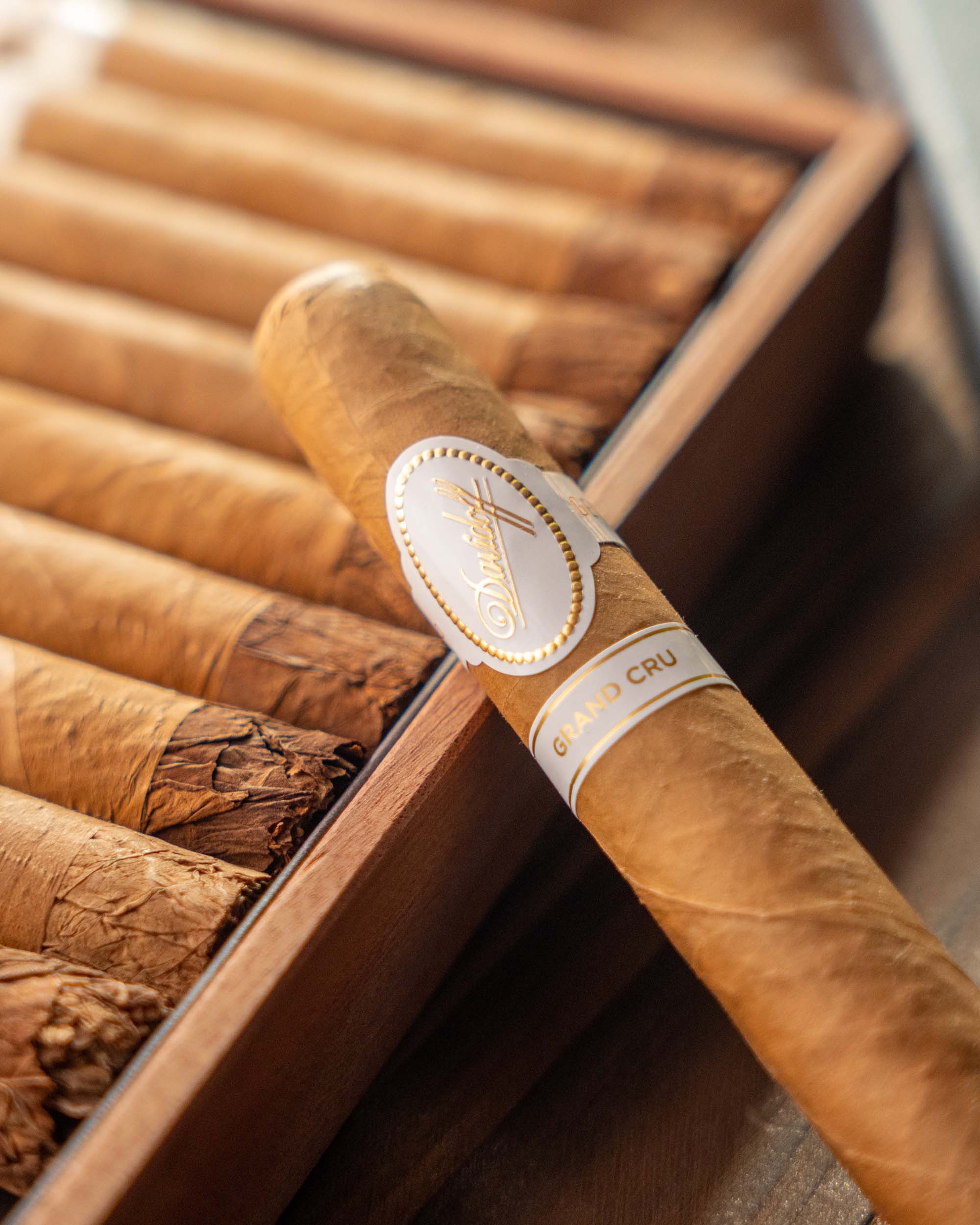 Davidoff Grand Cru Toro Cigar Bundle (Uncut) - Image 2