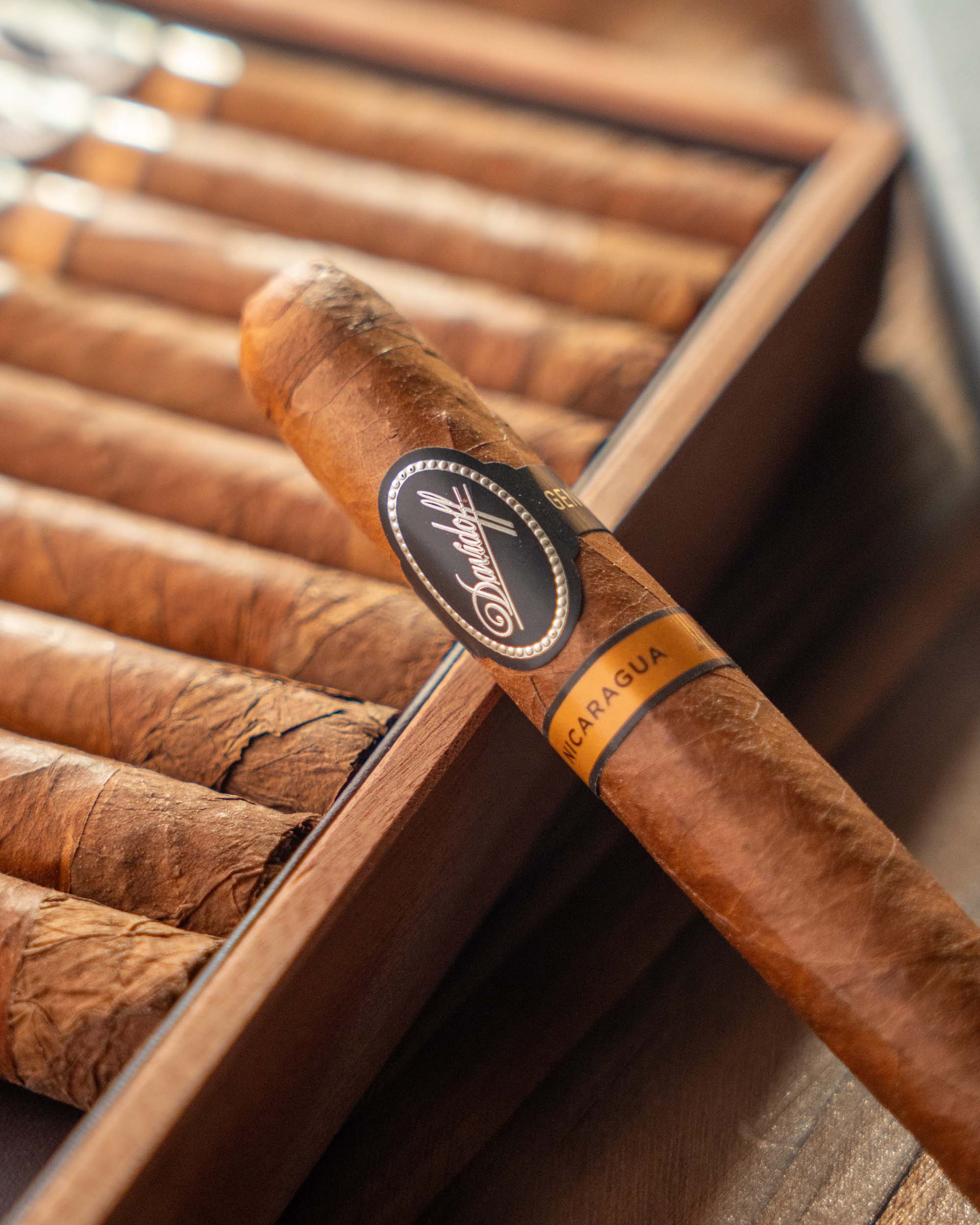 Davidoff Nicaragua Robusto Cigar Bundle (Uncut) - Image 2