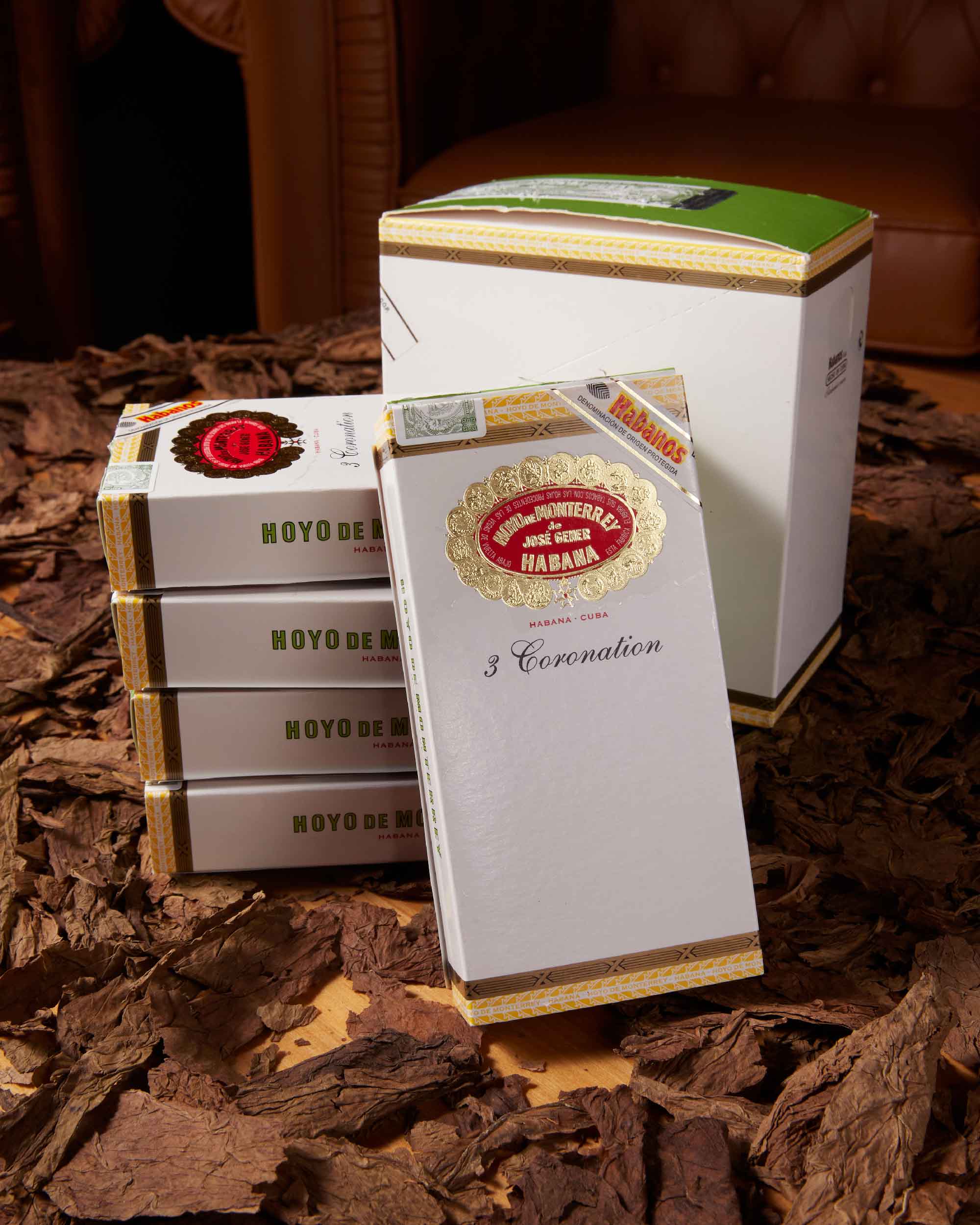 Hoyo de Monterrey Coronation (Tubos) (2013 Vintage) - Image 3