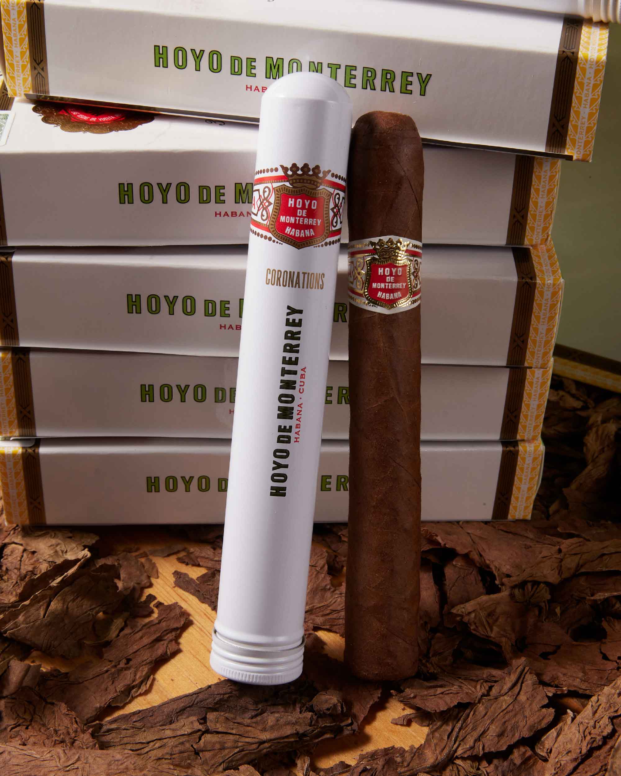 Hoyo de Monterrey Coronation (Tubos) (2013 Vintage) - Image 4