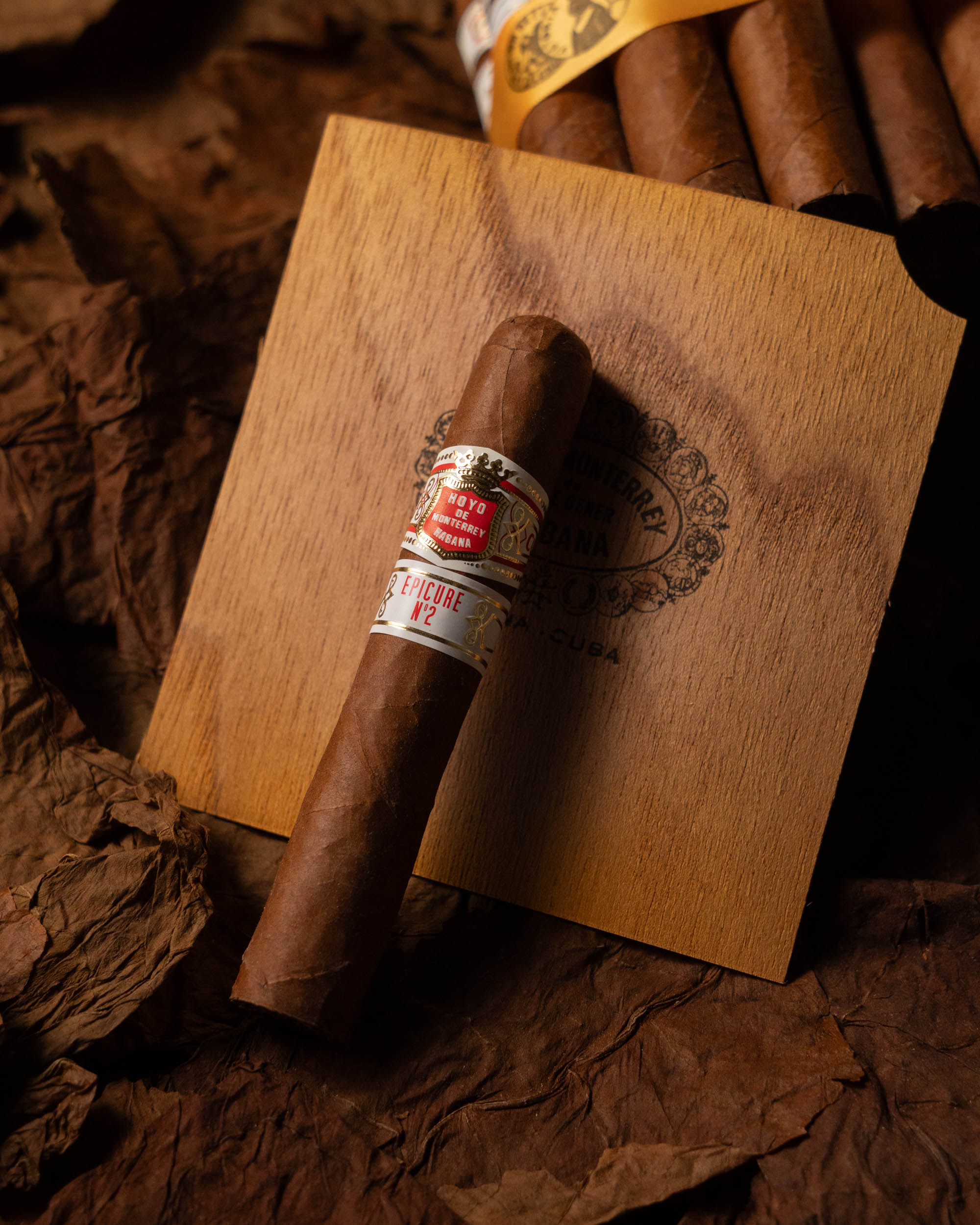 Hoyo de Monterrey Epicure No. 2 (2019 Vintage) - Image 3