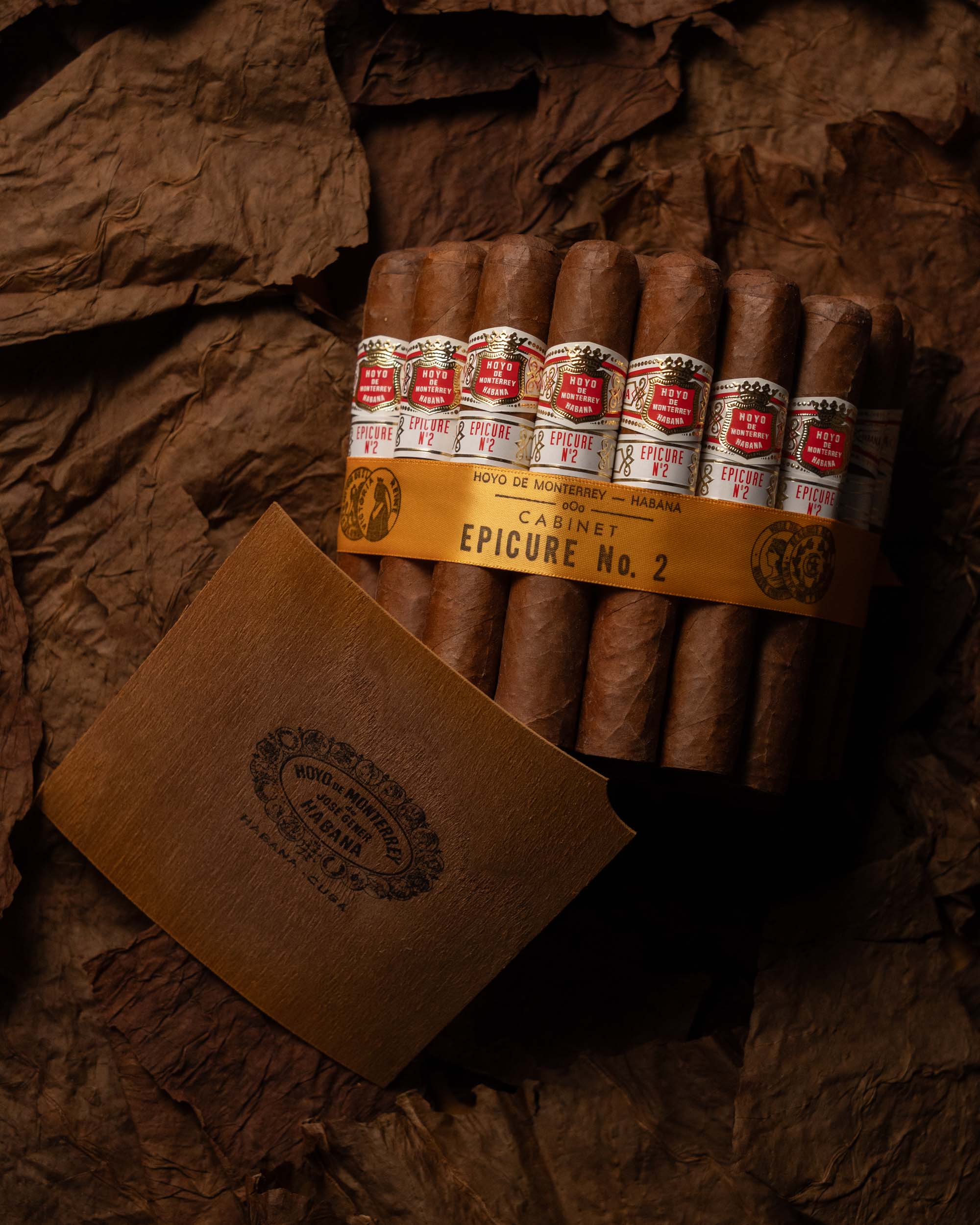 Hoyo de Monterrey Epicure No. 2 (2019 Vintage)