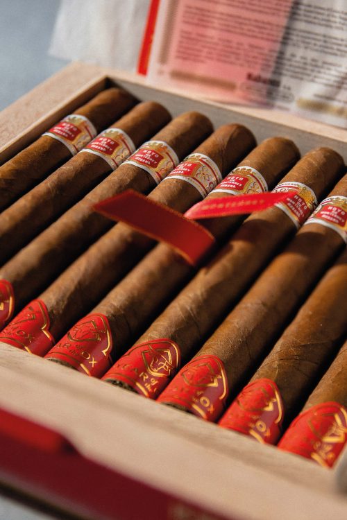 Hoyo de Monterrey Primaveras Year of the Ox 2021