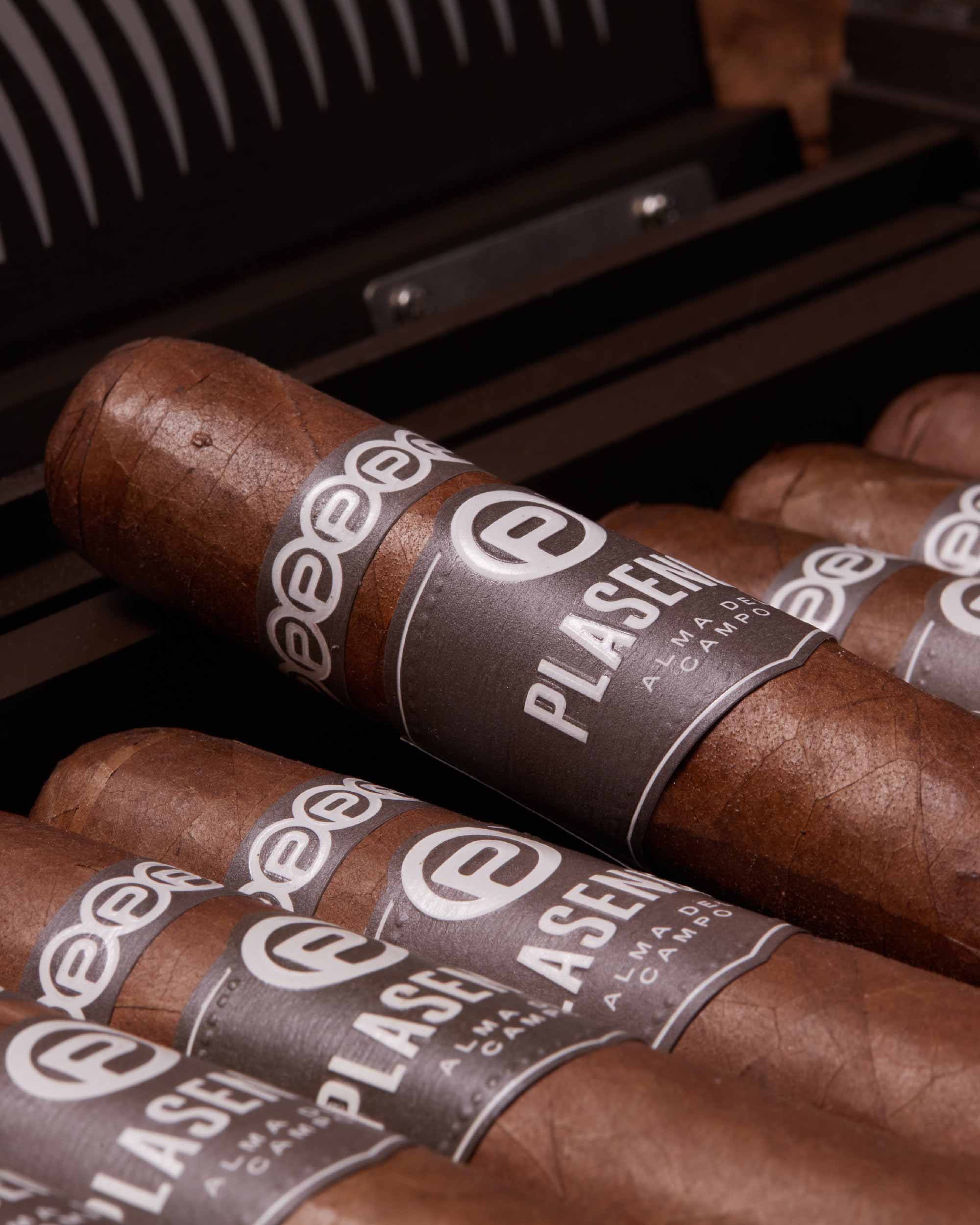 Plasencia Alma del Campo Guajiro Robusto Gordo - Image 5