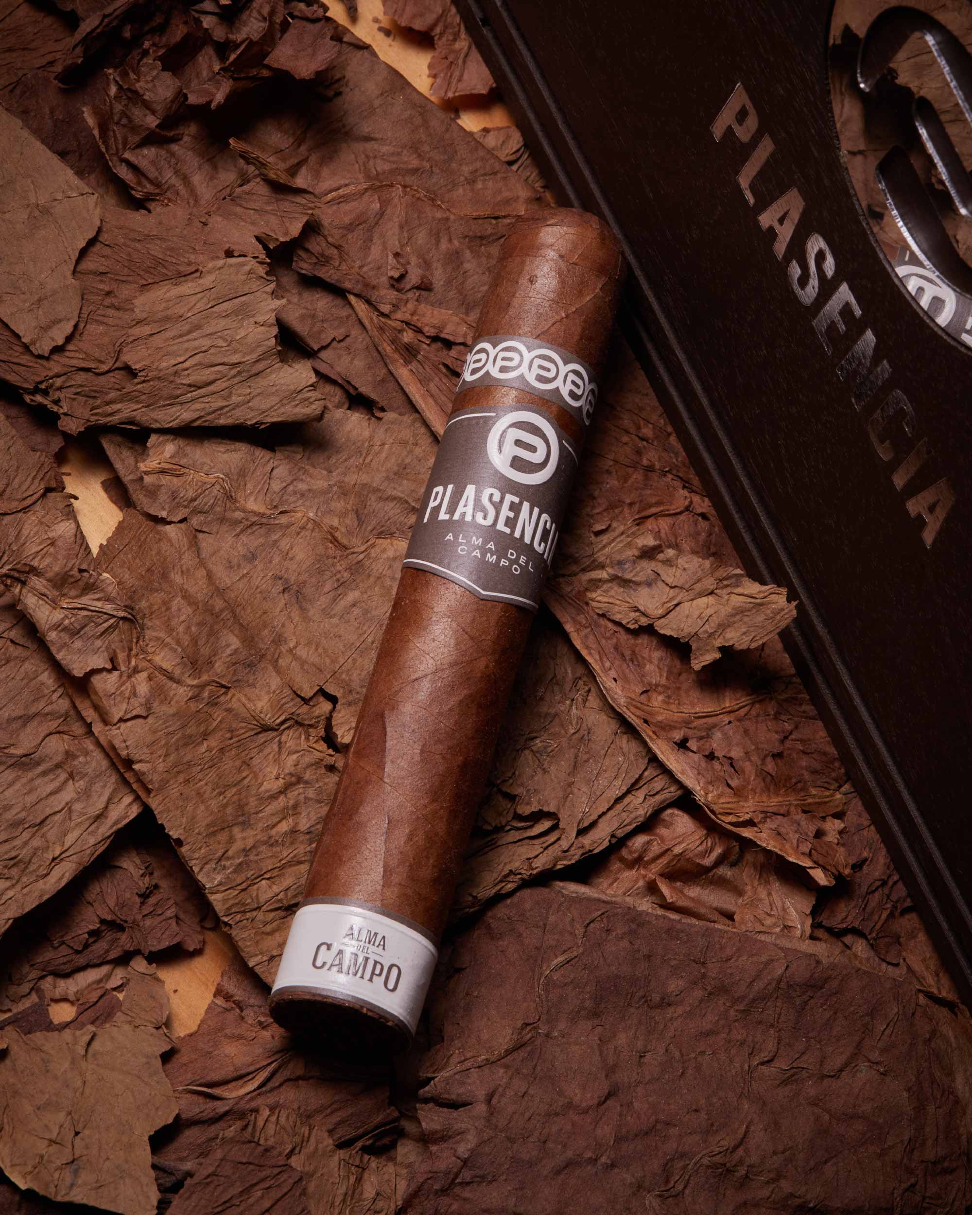 Plasencia Alma del Campo Guajiro Robusto Gordo - Image 6
