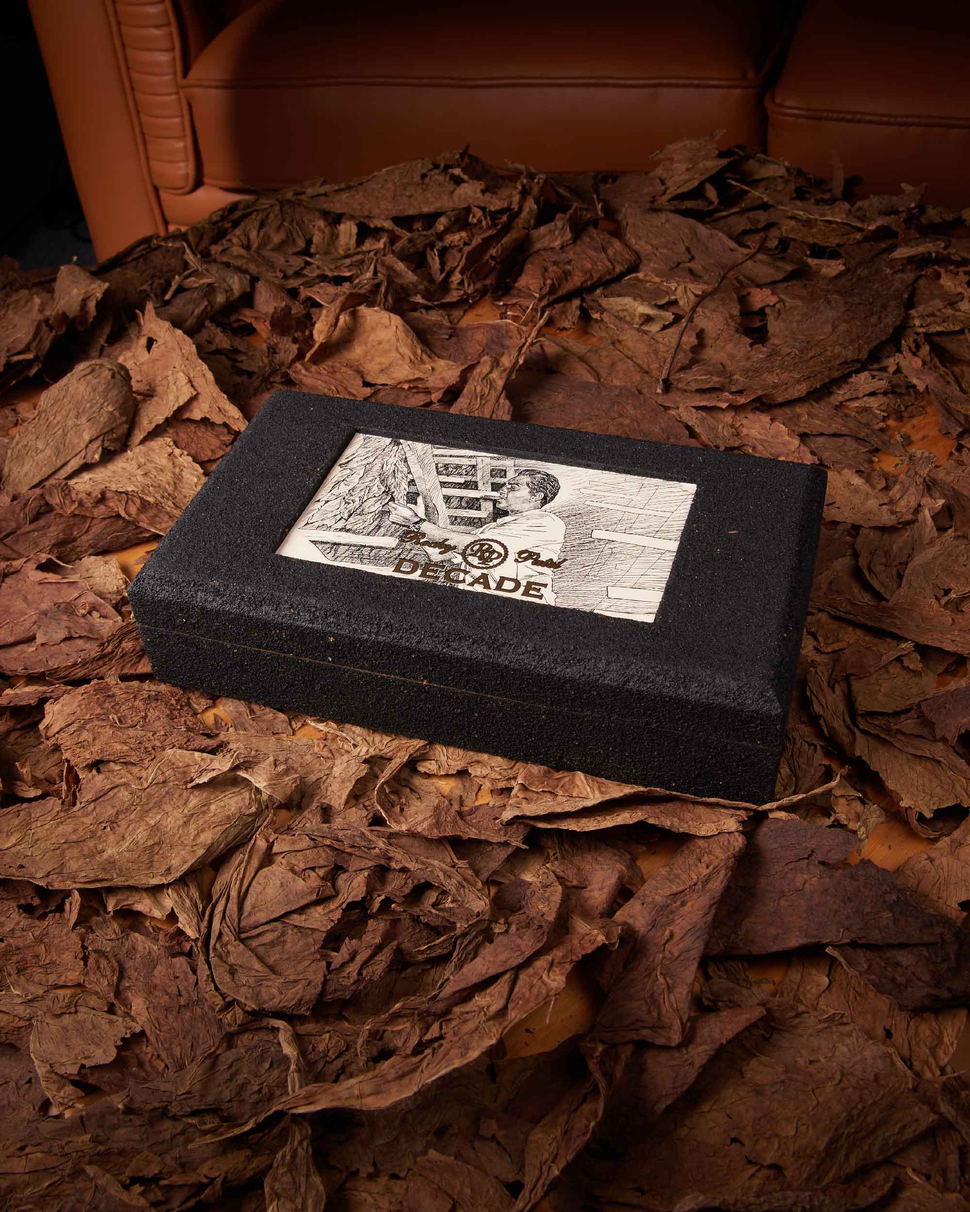 Rocky Patel Decade Short Robusto - Image 2
